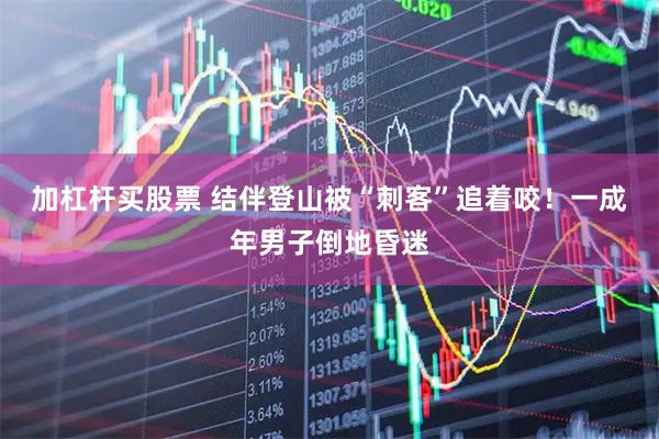 加杠杆买股票 结伴登山被“刺客”追着咬！一成年男子倒地昏迷