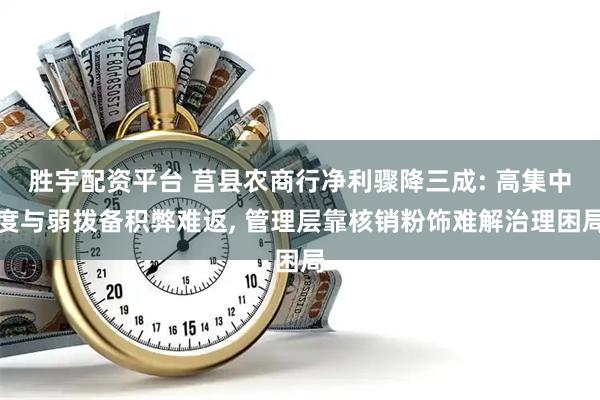 胜宇配资平台 莒县农商行净利骤降三成: 高集中度与弱拨备积弊难返, 管理层靠核销粉饰难解治理困局